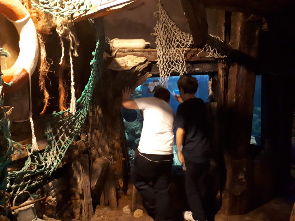A picture of two children looking at an exhibit in Anglesey sea zoo. The area around them looks like the inside of an  old galleon 