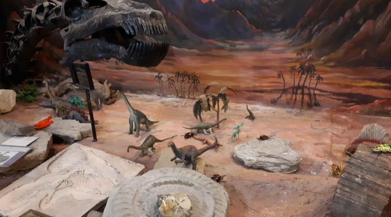 image shows a dinosaur exhibit at the stone science museum